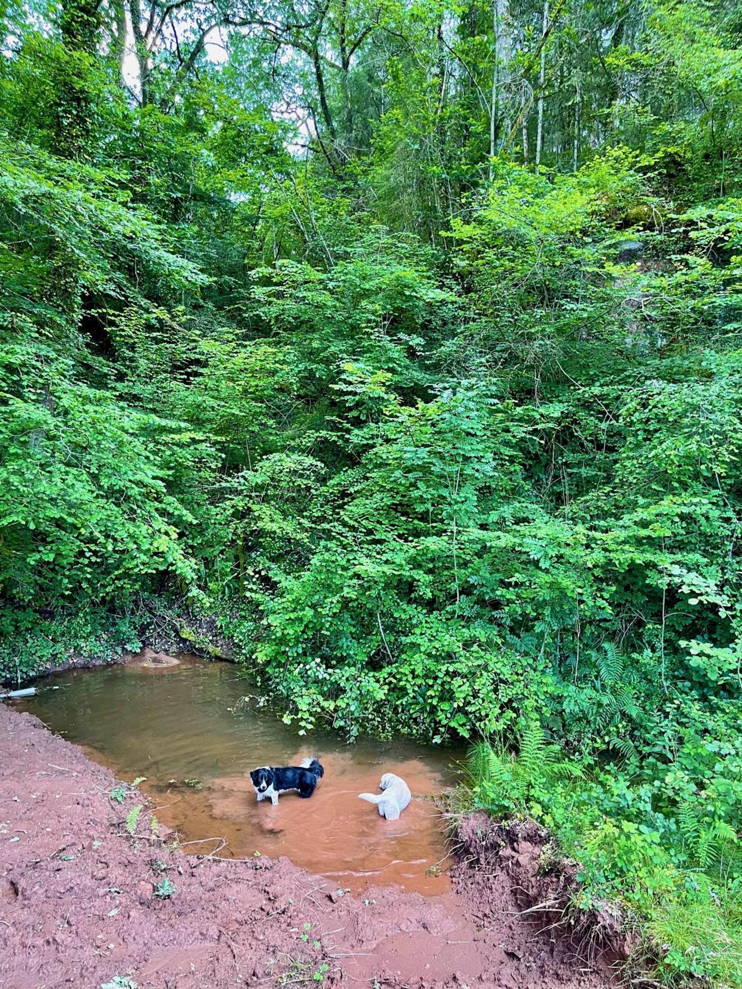 La Belle Petite Ferme Rosiers De Julliac 19350 Villa Le Bos Ngoại thất bức ảnh