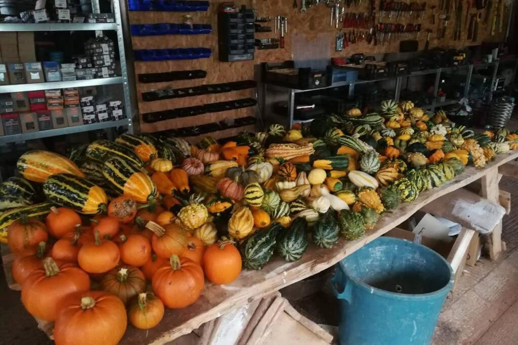 La Belle Petite Ferme Rosiers De Julliac 19350 Villa Le Bos Ngoại thất bức ảnh